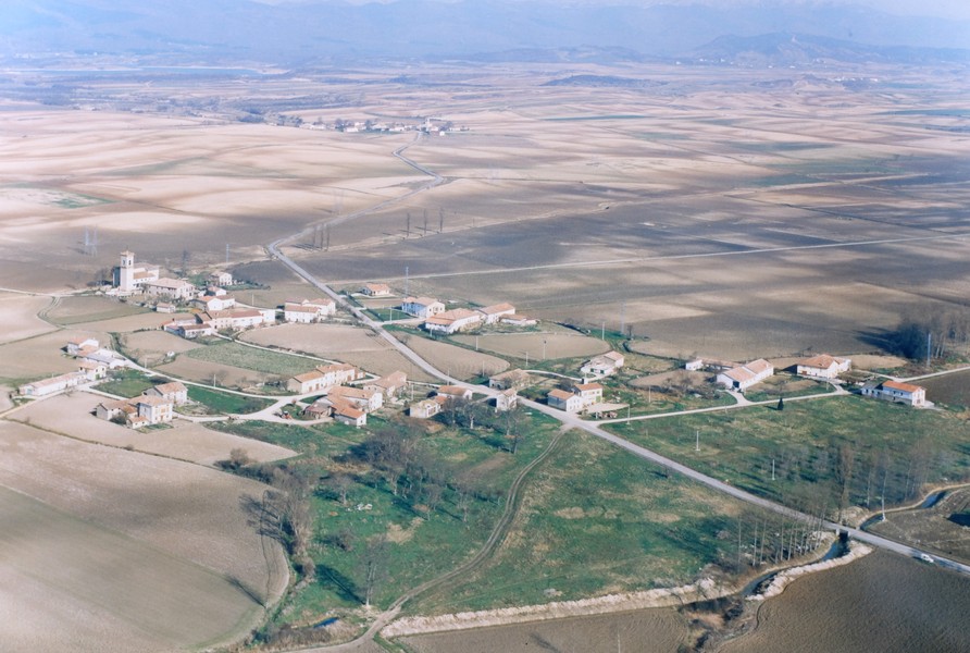 Jungitu